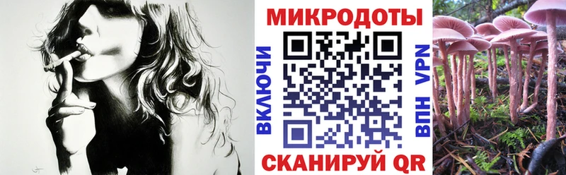 Псилоцибиновые грибы прущие грибы  Купить закладки  Афипский 